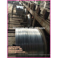 EG fil de fer / fil de galvanisation à chaud / usine de fil gi à Anping